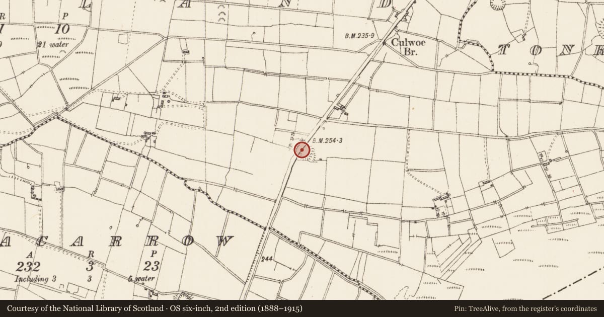 Ordnance Survey six-inch map, 2nd edition (1888–1915) covering the location of Ringfort - rath, Kingsland, County Roscommon, with a pin at the register's coordinates
