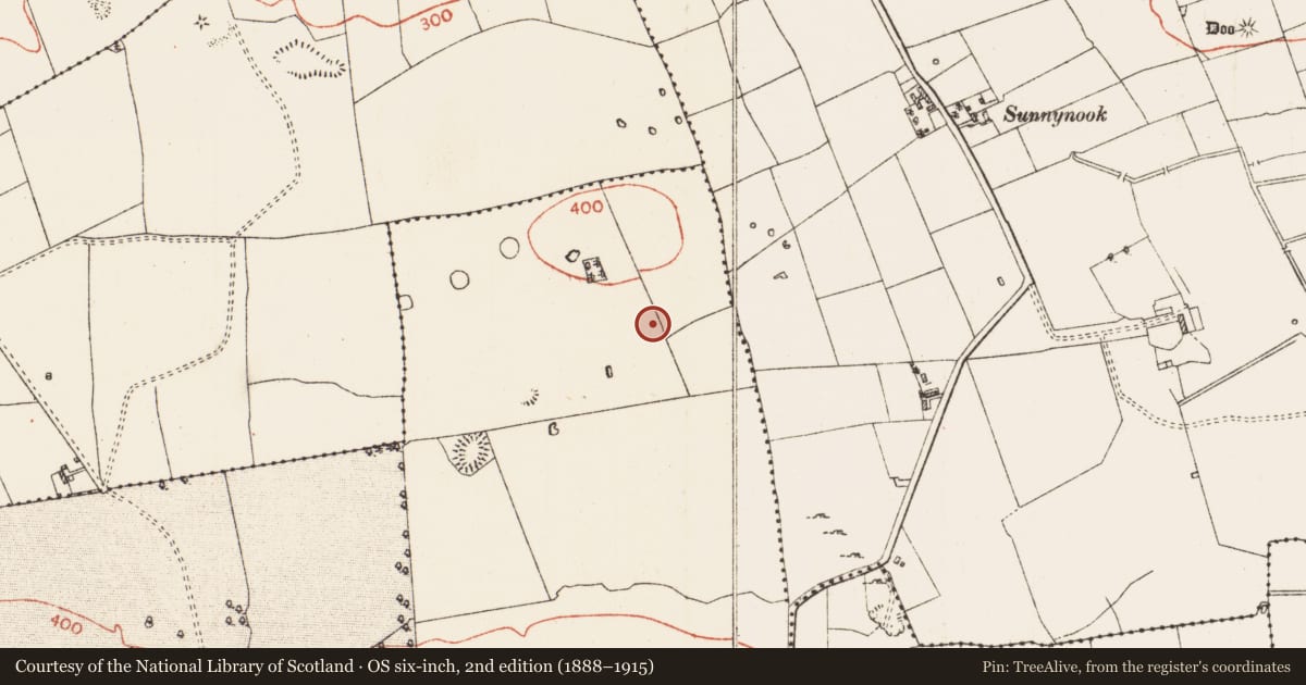 Ordnance Survey six-inch map, 2nd edition (1888–1915) covering the location of Barrow - pond barrow, Ballymore East Or Corbally, County Roscommon, with a pin at the register's coordinates