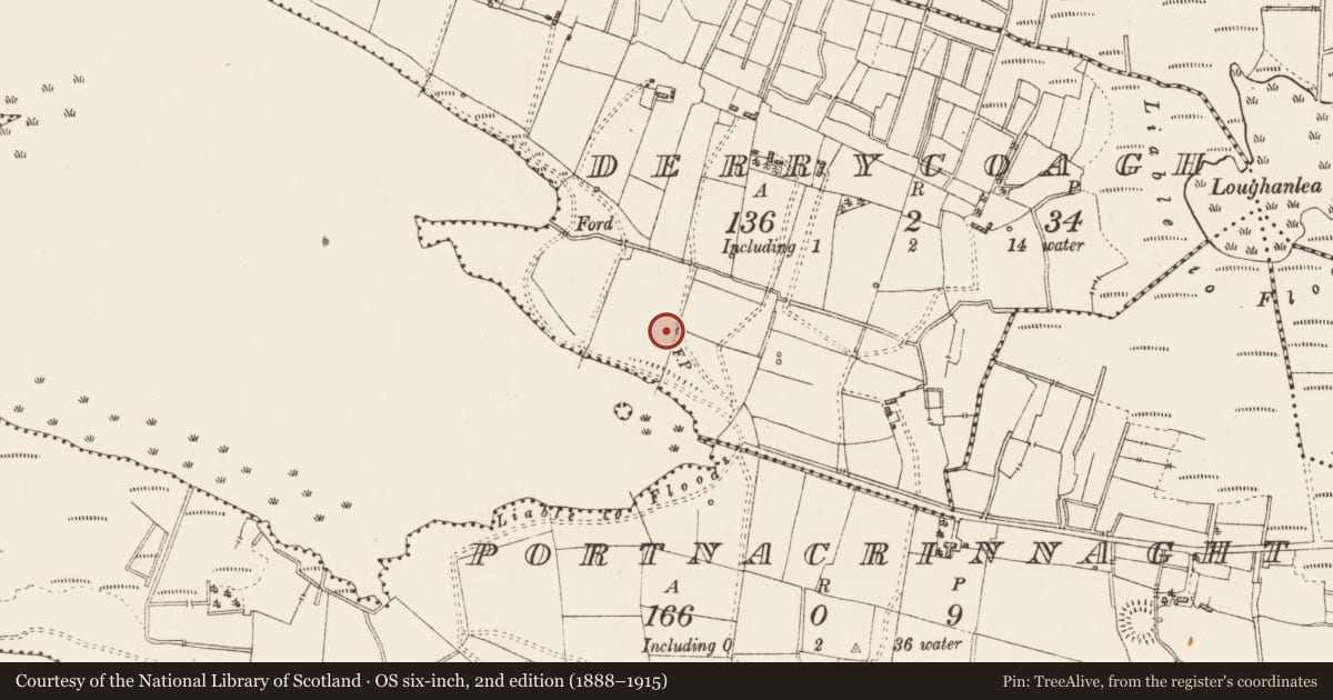 Ordnance Survey six-inch map, 2nd edition (1888–1915) covering the location of Ringfort - rath, Derrycoagh, County Roscommon, with a pin at the register's coordinates