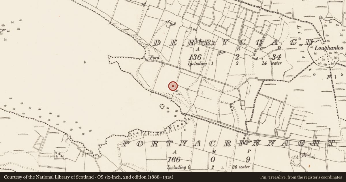 Ordnance Survey six-inch map, 2nd edition (1888–1915) covering the location of Children's burial ground, Derrycoagh, County Roscommon, with a pin at the register's coordinates