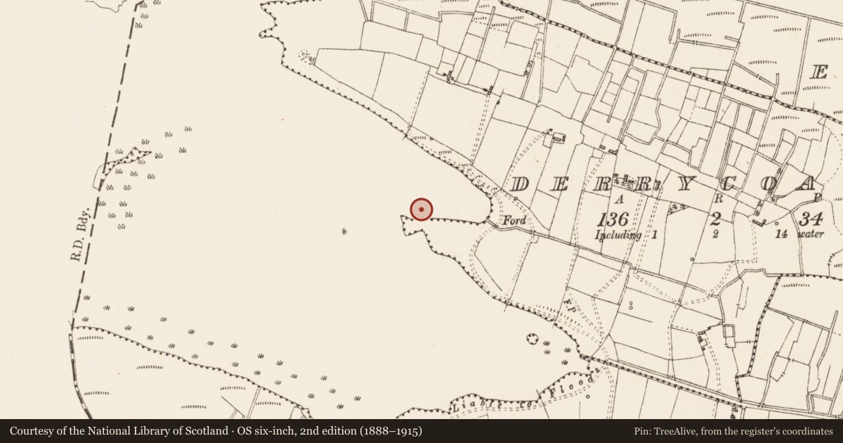 Ordnance Survey six-inch map, 2nd edition (1888–1915) covering the location of Crannog, Derrycoagh, Lough Gara, County Roscommon, with a pin at the register's coordinates