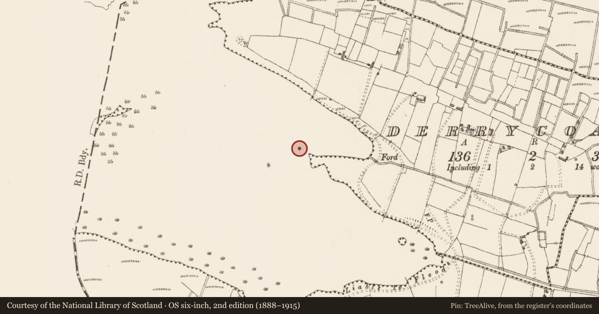 Ordnance Survey six-inch map, 2nd edition (1888–1915) covering the location of Crannog, Derrycoagh, Lough Gara, County Roscommon, with a pin at the register's coordinates