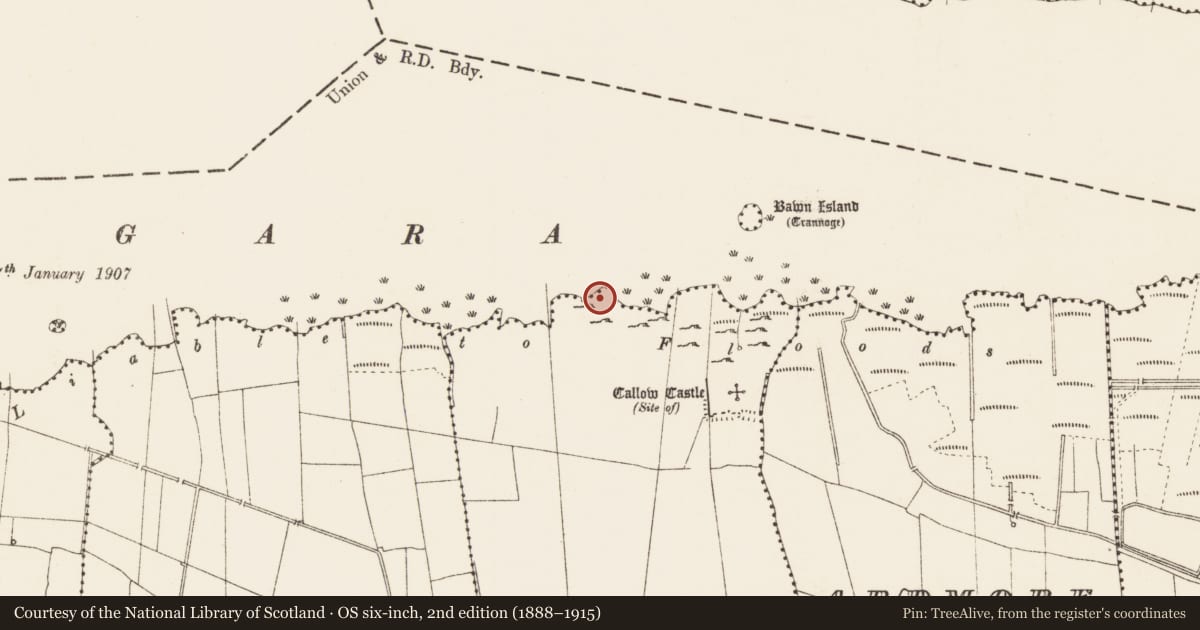 Ordnance Survey six-inch map, 2nd edition (1888–1915) covering the location of Crannog, Dower, Lough Gara, County Roscommon, with a pin at the register's coordinates