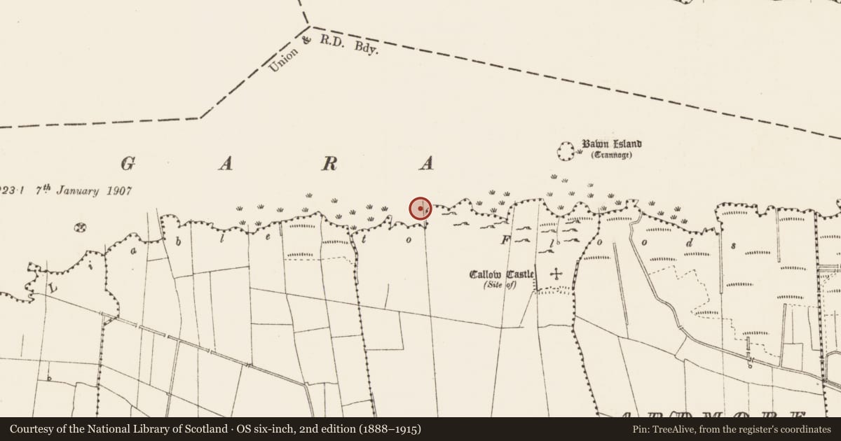 Ordnance Survey six-inch map, 2nd edition (1888–1915) covering the location of Crannog, Dower, Lough Gara, County Roscommon, with a pin at the register's coordinates