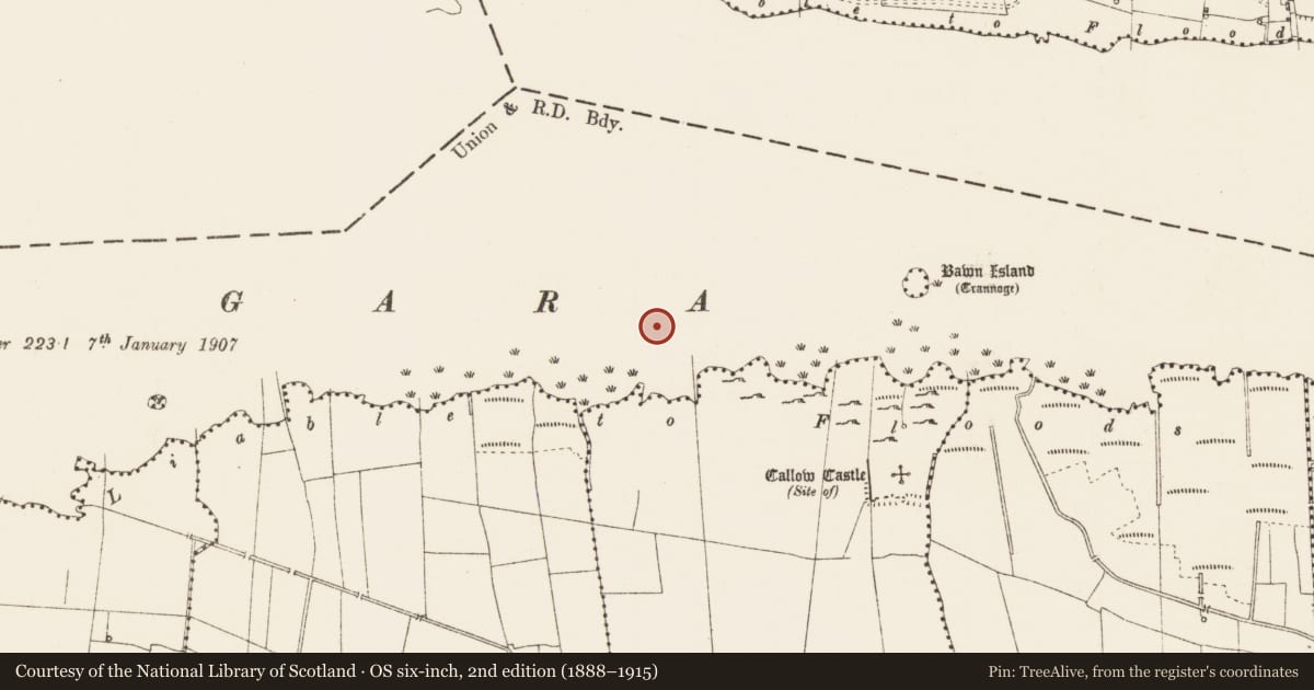 Ordnance Survey six-inch map, 2nd edition (1888–1915) covering the location of Crannog, Dower, Lough Gara, County Roscommon, with a pin at the register's coordinates