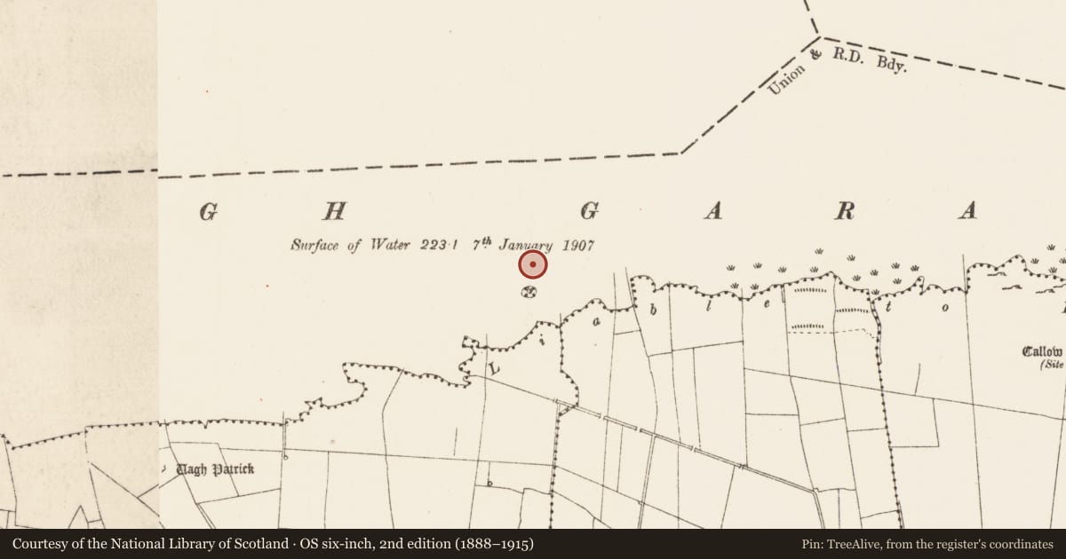 Ordnance Survey six-inch map, 2nd edition (1888–1915) covering the location of Crannog, Callow Or Runnawillin, Lough Gara, County Roscommon, with a pin at the register's coordinates