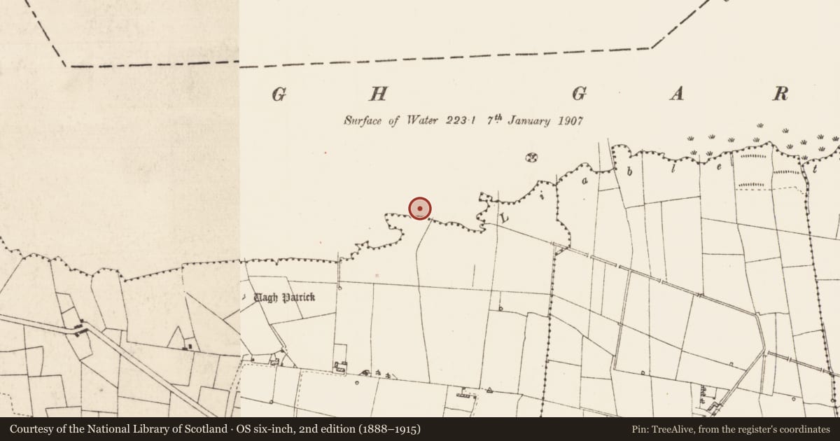Ordnance Survey six-inch map, 2nd edition (1888–1915) covering the location of Crannog, Callow Or Runnawillin, Lough Gara, County Roscommon, with a pin at the register's coordinates