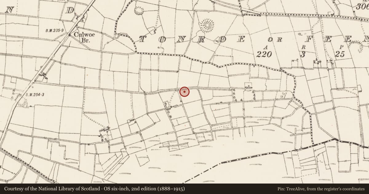 Ordnance Survey six-inch map, 2nd edition (1888–1915) covering the location of Enclosure, Kingsland, County Roscommon, with a pin at the register's coordinates
