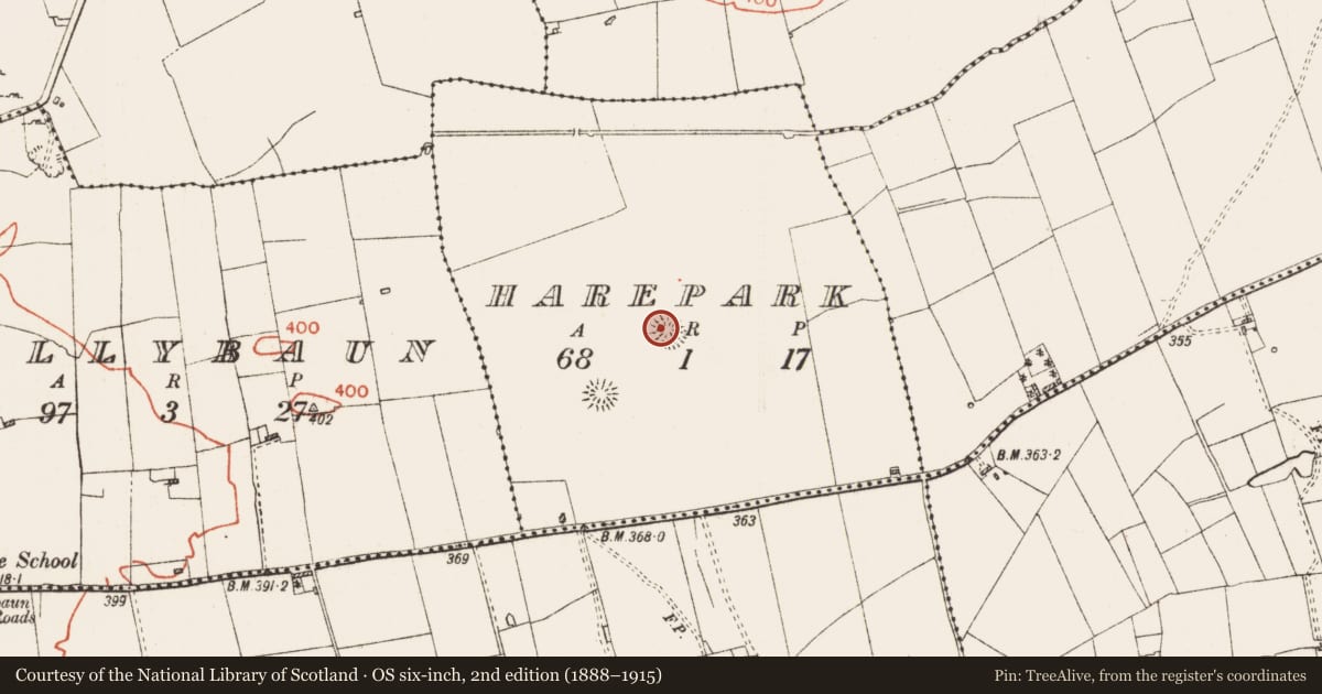 Ordnance Survey six-inch map, 2nd edition (1888–1915) covering the location of Ringfort - rath, Harepark, County Roscommon, with a pin at the register's coordinates