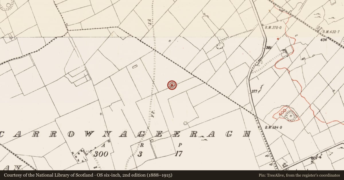 Ordnance Survey six-inch map, 2nd edition (1888–1915) covering the location of Ringfort - rath, Carrownageeragh, County Roscommon, with a pin at the register's coordinates