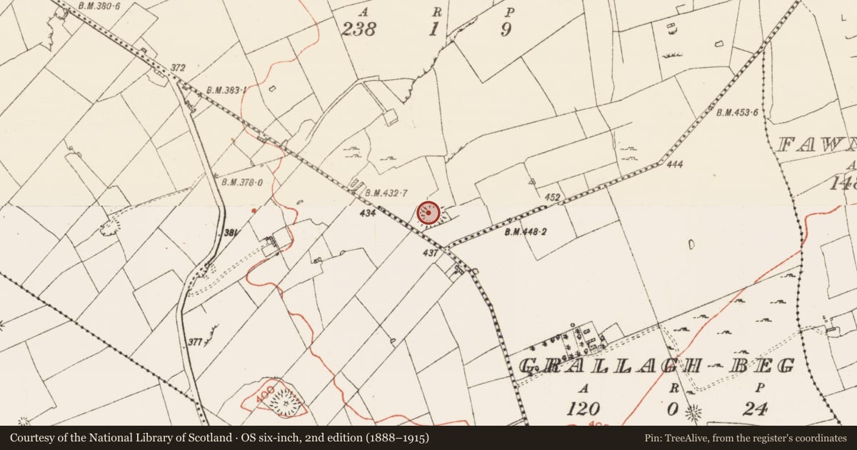 Ordnance Survey six-inch map, 2nd edition (1888–1915) covering the location of Barrow - ring-barrow, Grallagh More, County Roscommon, with a pin at the register's coordinates