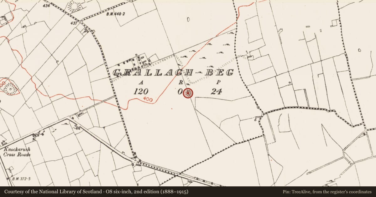Ordnance Survey six-inch map, 2nd edition (1888–1915) covering the location of Ringfort - cashel, Grallagh Beg, County Roscommon, with a pin at the register's coordinates