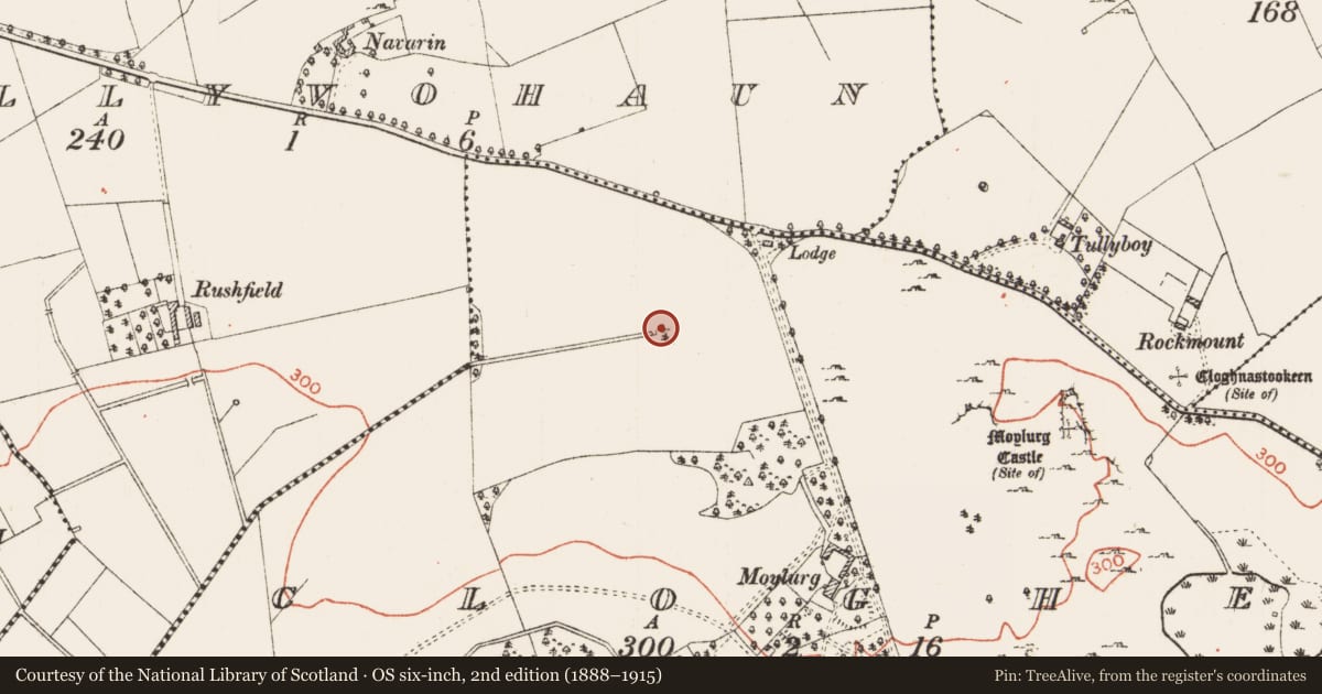 Ordnance Survey six-inch map, 2nd edition (1888–1915) covering the location of Designed landscape - tree-ring, Clogher, County Roscommon, with a pin at the register's coordinates