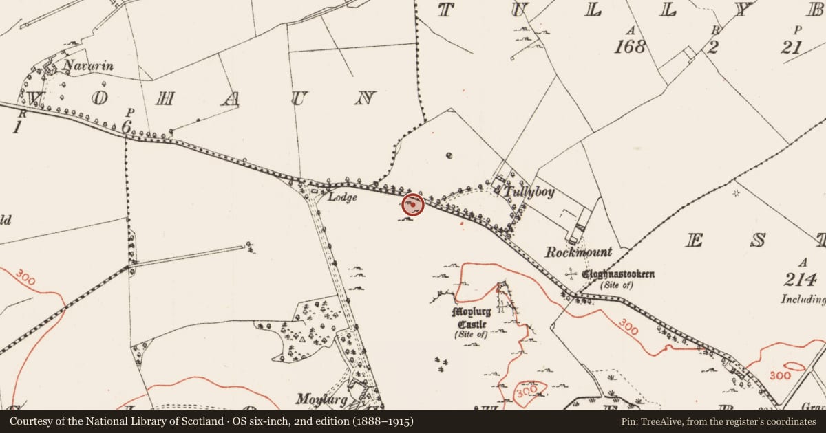 Ordnance Survey six-inch map, 2nd edition (1888–1915) covering the location of Church, Clogher, County Roscommon, with a pin at the register's coordinates