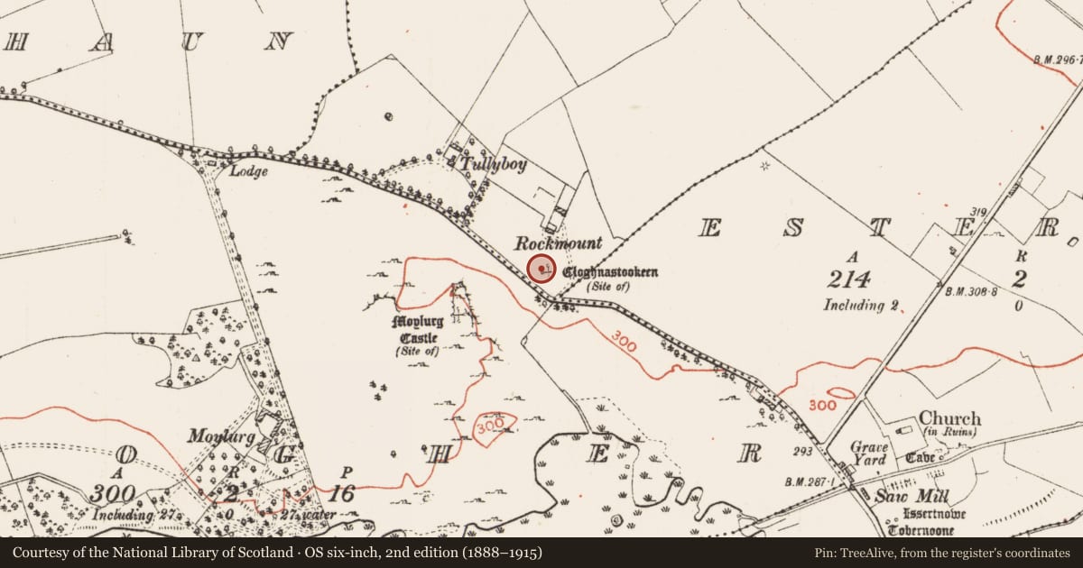Ordnance Survey six-inch map, 2nd edition (1888–1915) covering the location of Standing stone, Tullyboy, County Roscommon, with a pin at the register's coordinates