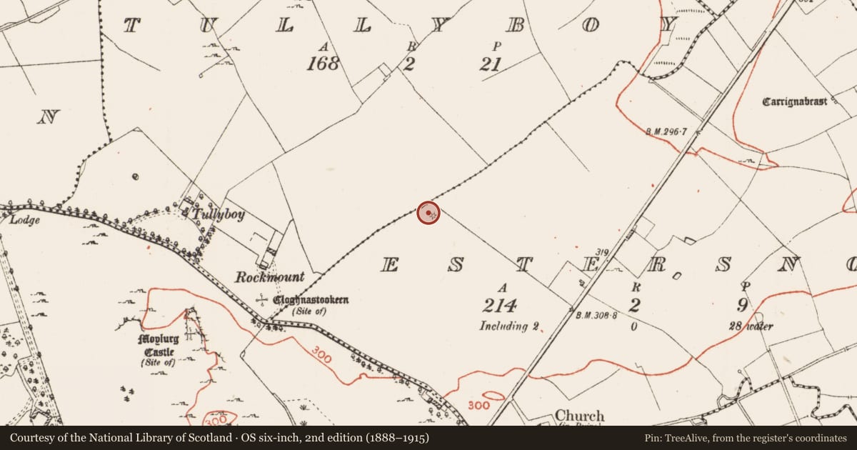 Ordnance Survey six-inch map, 2nd edition (1888–1915) covering the location of Barrow - mound barrow, Estersnow, County Roscommon, with a pin at the register's coordinates