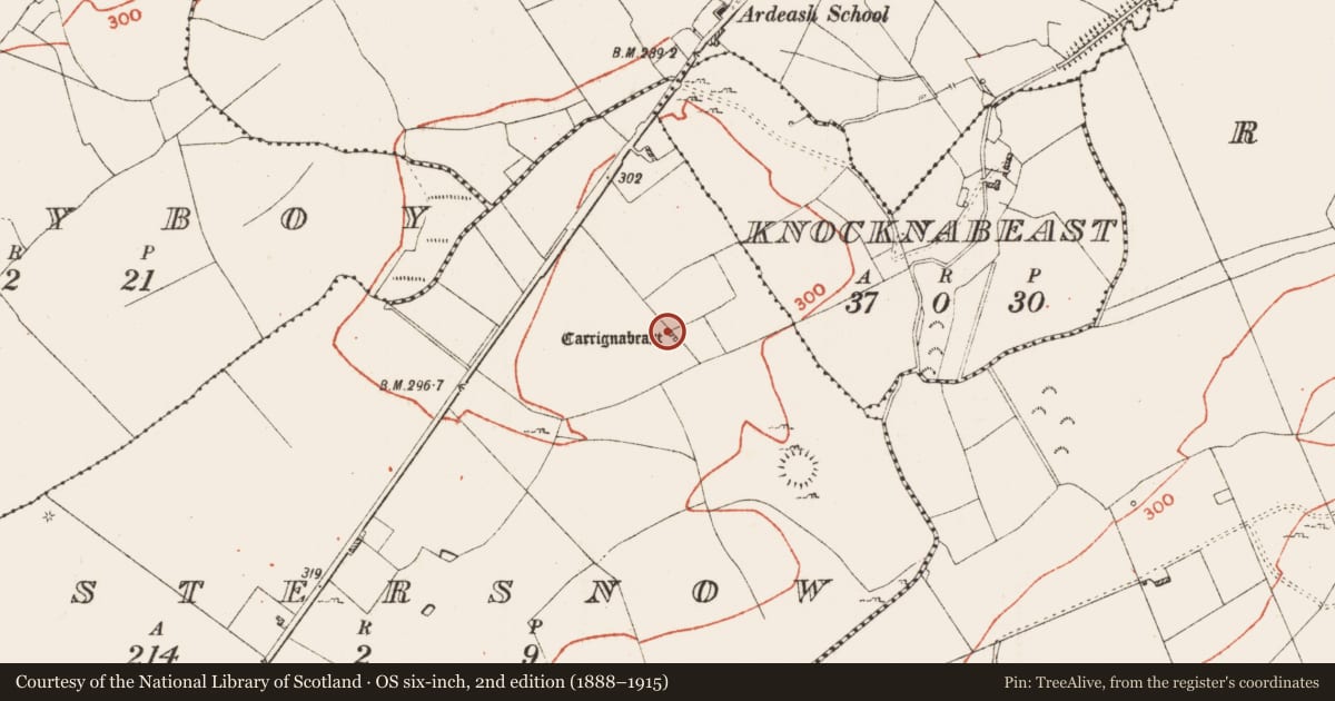 Ordnance Survey six-inch map, 2nd edition (1888–1915) covering the location of Anomalous stone group, Estersnow, County Roscommon, with a pin at the register's coordinates