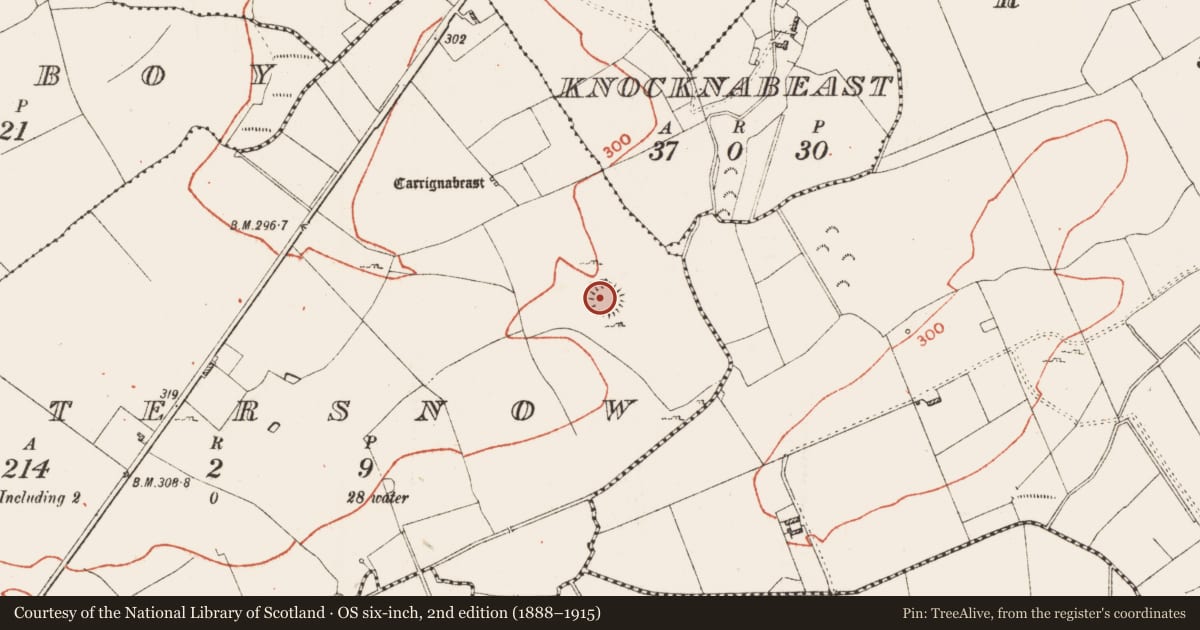 Ordnance Survey six-inch map, 2nd edition (1888–1915) covering the location of Ringfort - cashel, Estersnow, County Roscommon, with a pin at the register's coordinates