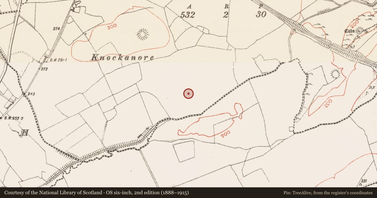 Ordnance Survey six-inch map, 2nd edition (1888–1915) covering the location of Ringfort - cashel, Knockaculleen Or Hollymount, County Roscommon, with a pin at the register's coordinates