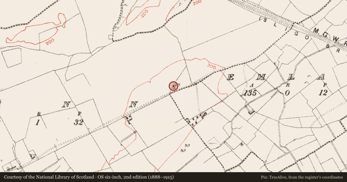 Ordnance Survey six-inch map, 2nd edition (1888–1915) covering the location of Barrow - mound barrow, Rinn, County Roscommon, with a pin at the register's coordinates