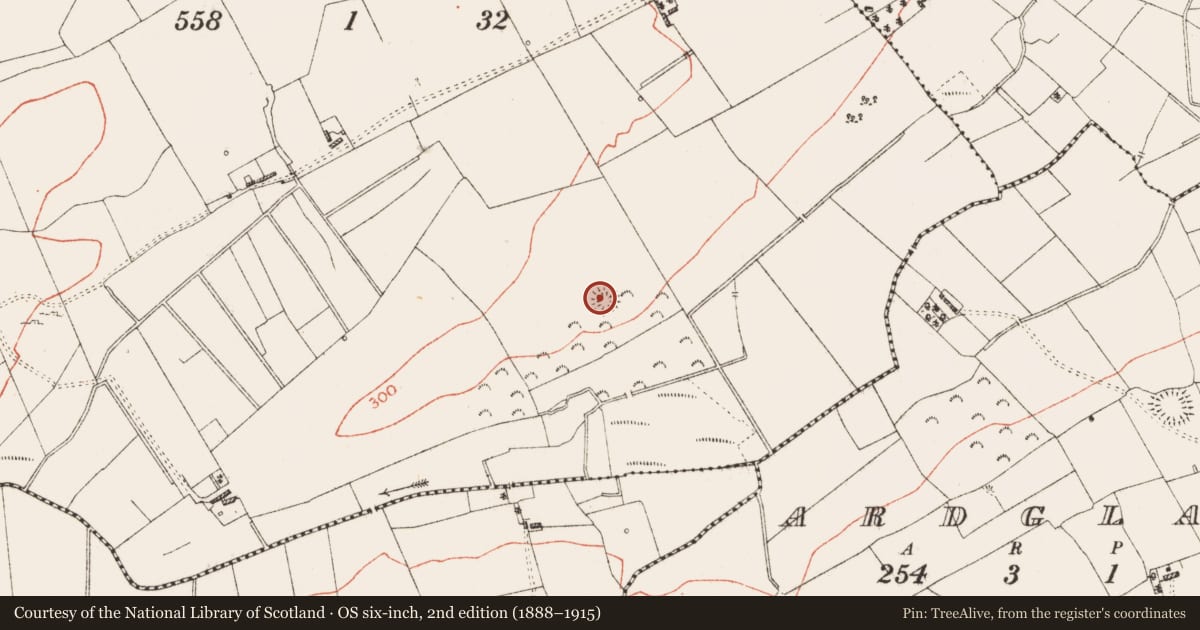 Ordnance Survey six-inch map, 2nd edition (1888–1915) covering the location of Ringfort - rath, Rinn, County Roscommon, with a pin at the register's coordinates