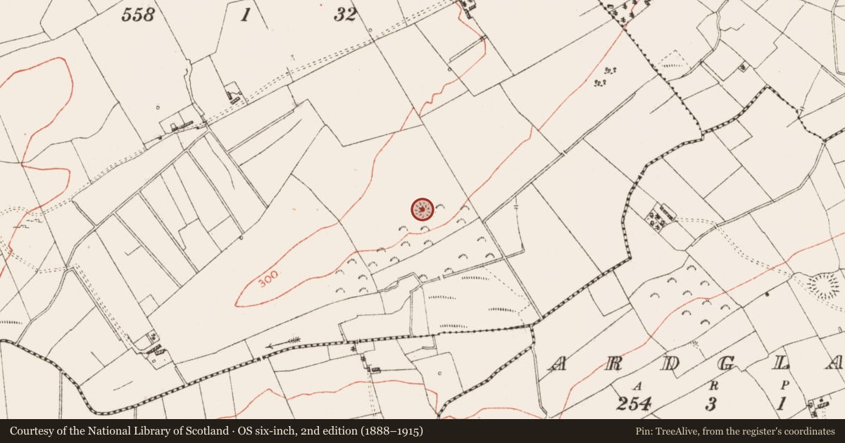 Ordnance Survey six-inch map, 2nd edition (1888–1915) covering the location of House - indeterminate date, Rinn, County Roscommon, with a pin at the register's coordinates