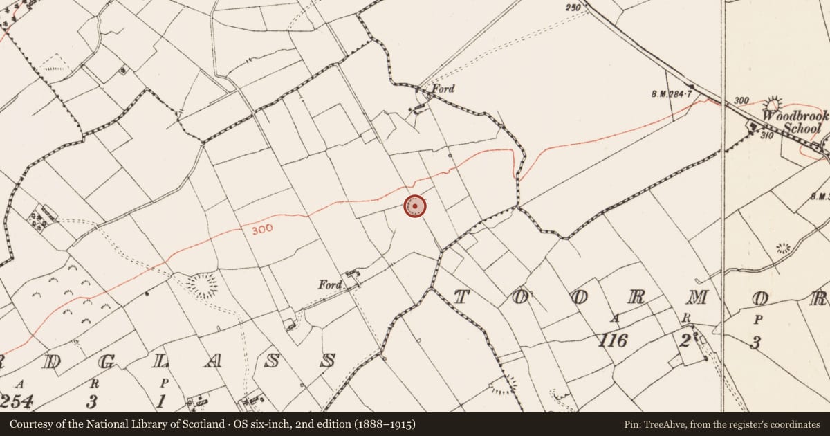 Ordnance Survey six-inch map, 2nd edition (1888–1915) covering the location of Ringfort - rath, Ardglass, County Roscommon, with a pin at the register's coordinates
