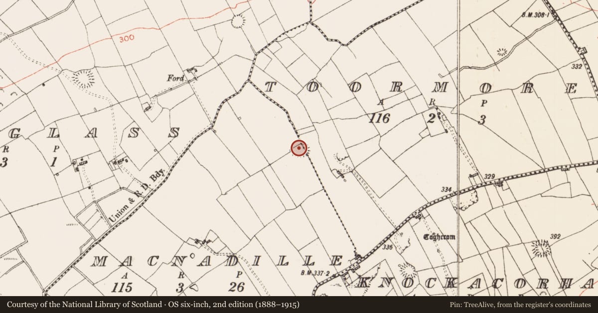 Ordnance Survey six-inch map, 2nd edition (1888–1915) covering the location of Ringfort - cashel, MacNadille, Toormore, County Roscommon, with a pin at the register's coordinates