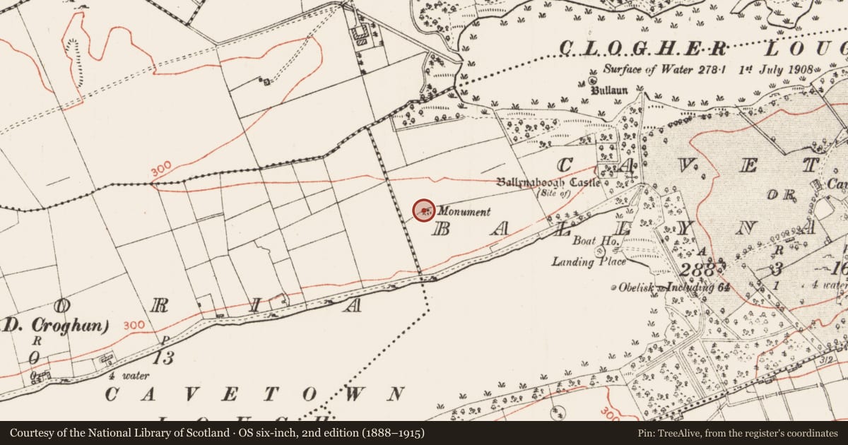 Ordnance Survey six-inch map, 2nd edition (1888–1915) covering the location of Mound, Cavetown Or Ballynahoogh, County Roscommon, with a pin at the register's coordinates