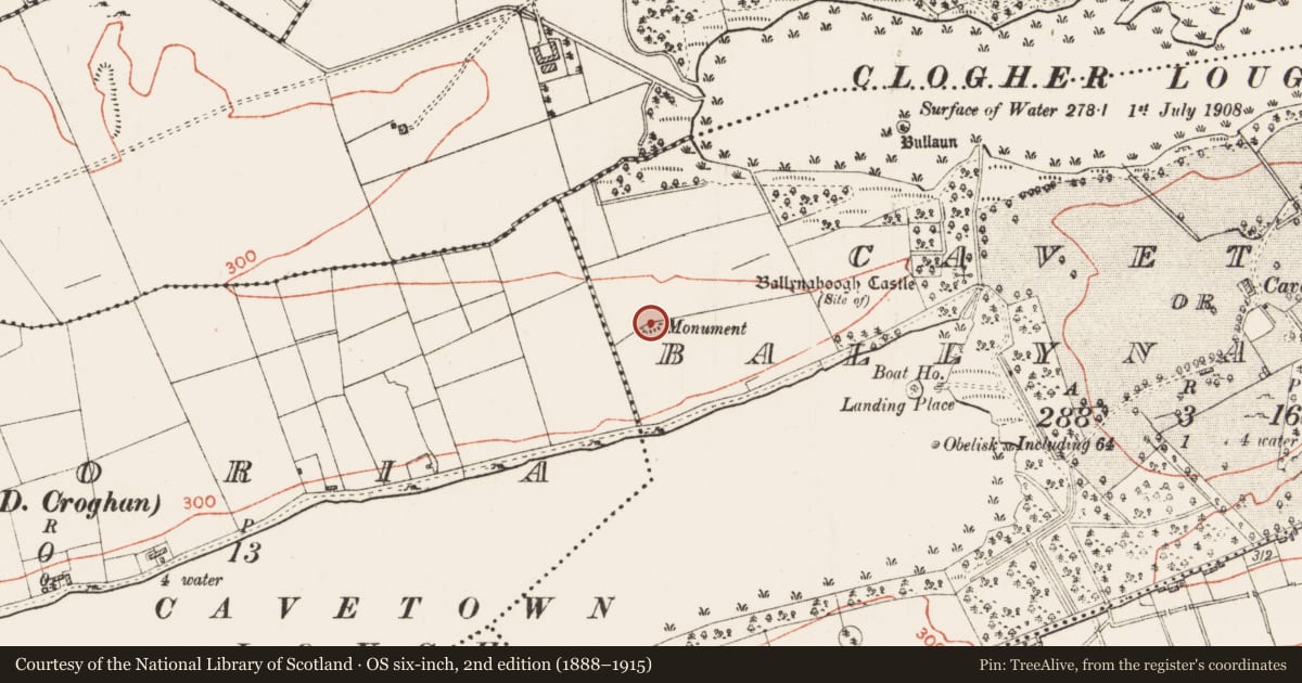 Ordnance Survey six-inch map, 2nd edition (1888–1915) covering the location of Monumental structure, Cavetown Or Ballynahoogh, County Roscommon, with a pin at the register's coordinates
