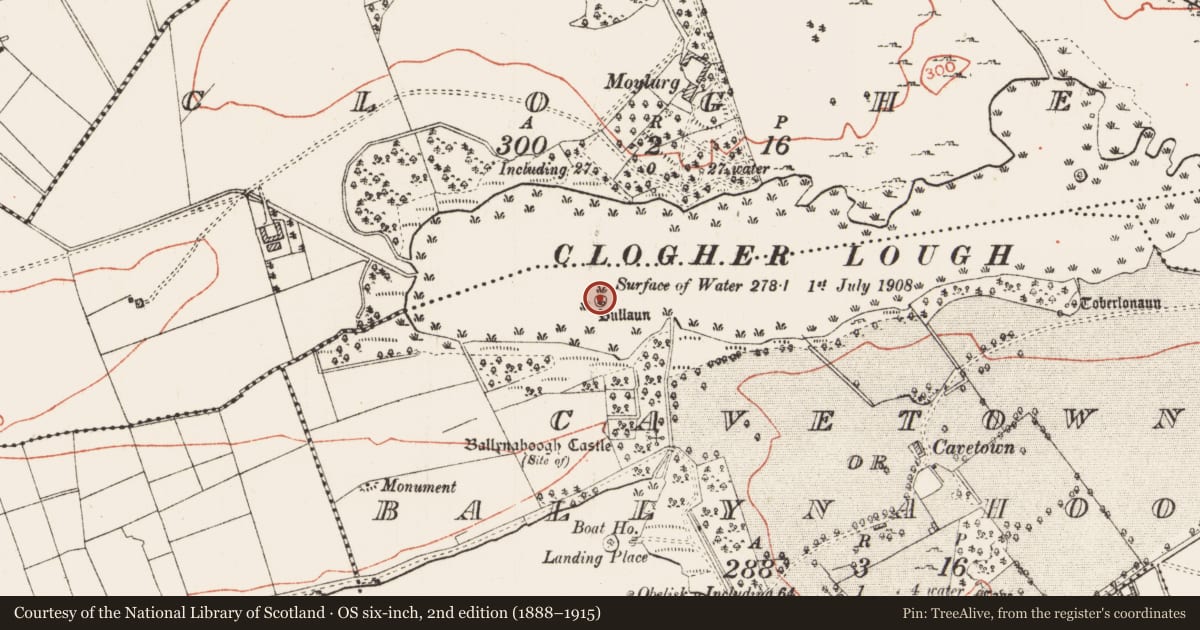 Ordnance Survey six-inch map, 2nd edition (1888–1915) covering the location of Bullaun stone, Cavetown Or Ballynahoogh, County Roscommon, with a pin at the register's coordinates
