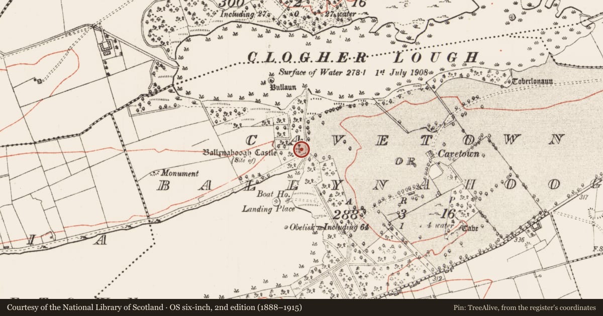 Ordnance Survey six-inch map, 2nd edition (1888–1915) covering the location of Castle - unclassified, Cavetown Or Ballynahoogh, County Roscommon, with a pin at the register's coordinates