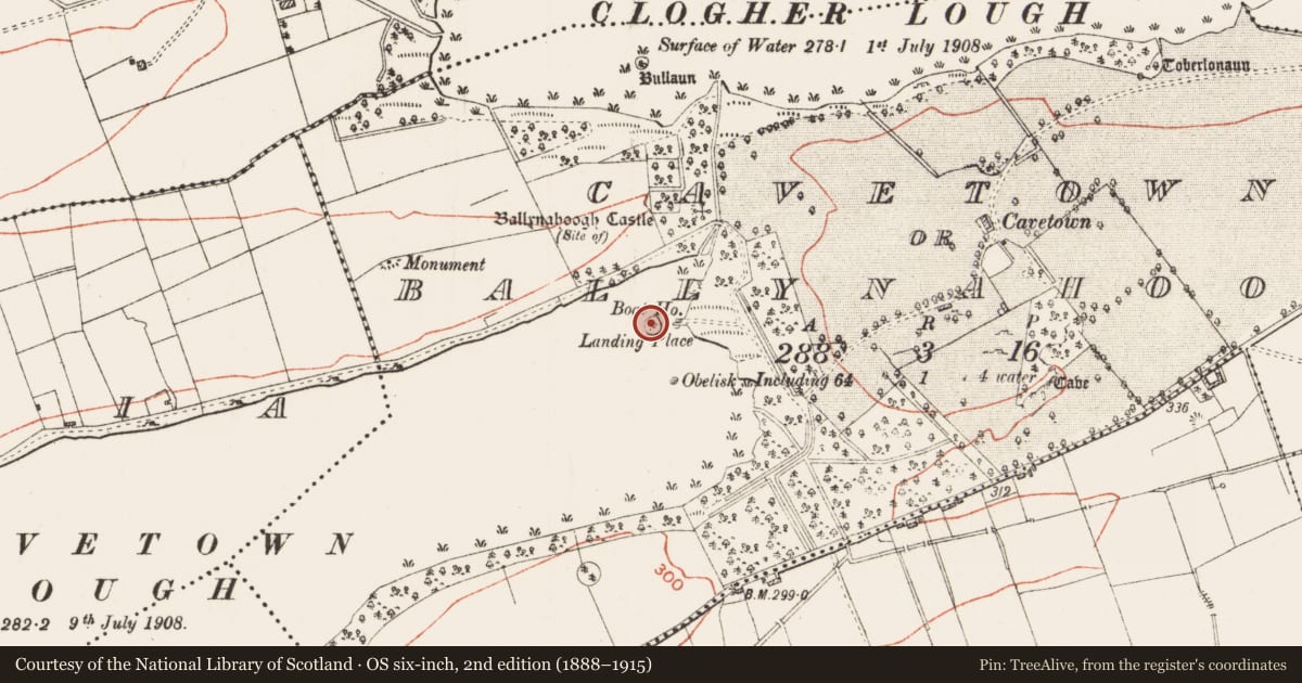 Ordnance Survey six-inch map, 2nd edition (1888–1915) covering the location of Crannog, Cavetown Or Ballynahoogh, County Roscommon, with a pin at the register's coordinates