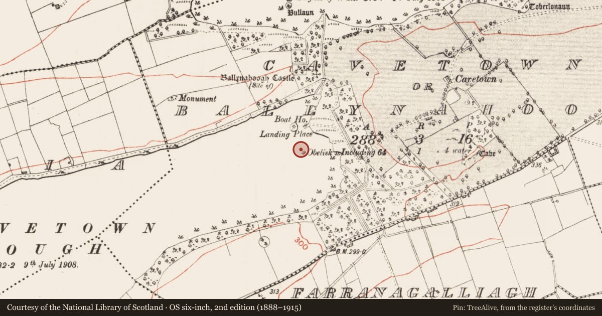 Ordnance Survey six-inch map, 2nd edition (1888–1915) covering the location of Crannog, Cavetown Or Ballynahoogh, County Roscommon, with a pin at the register's coordinates