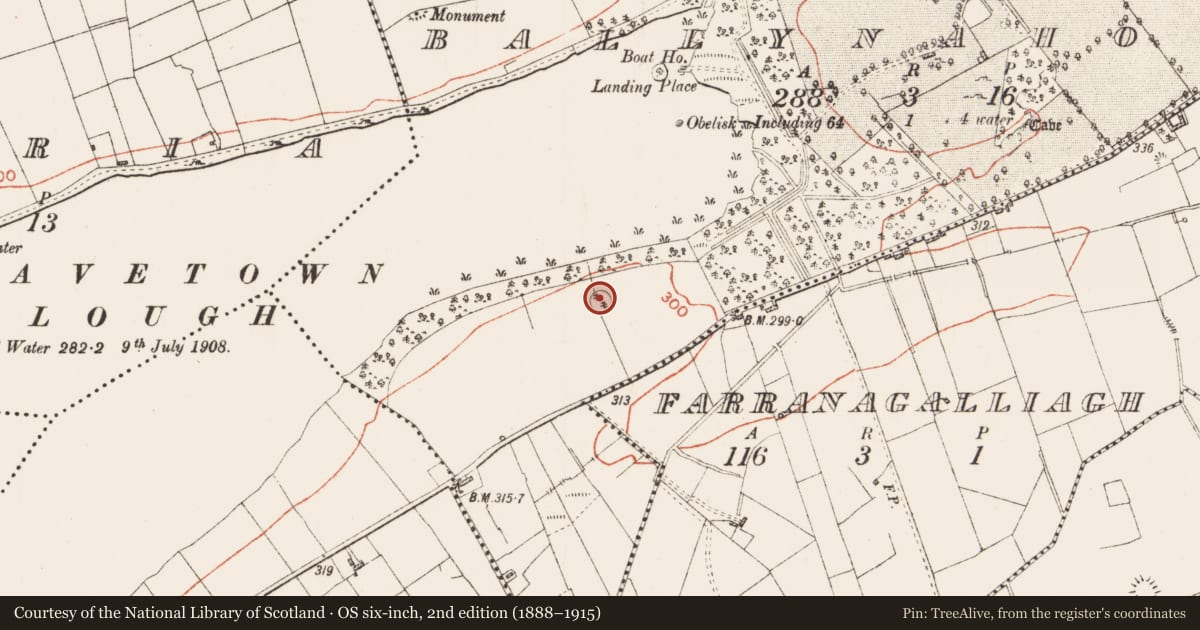 Ordnance Survey six-inch map, 2nd edition (1888–1915) covering the location of Mound, Cavetown Or Ballynahoogh, County Roscommon, with a pin at the register's coordinates