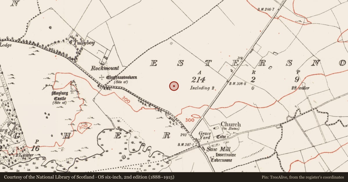 Ordnance Survey six-inch map, 2nd edition (1888–1915) covering the location of Field system, Estersnow, County Roscommon, with a pin at the register's coordinates
