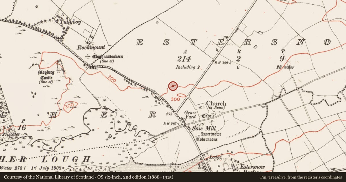 Ordnance Survey six-inch map, 2nd edition (1888–1915) covering the location of Road - road/trackway, Estersnow, County Roscommon, with a pin at the register's coordinates