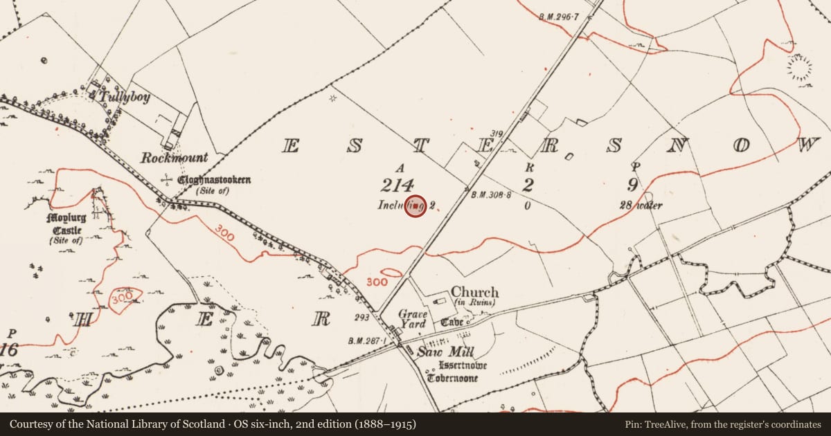Ordnance Survey six-inch map, 2nd edition (1888–1915) covering the location of Fulacht fia, Estersnow, County Roscommon, with a pin at the register's coordinates