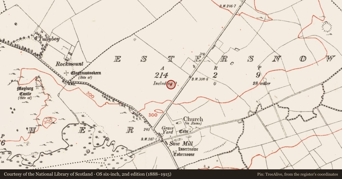 Ordnance Survey six-inch map, 2nd edition (1888–1915) covering the location of Fulacht fia, Estersnow, County Roscommon, with a pin at the register's coordinates