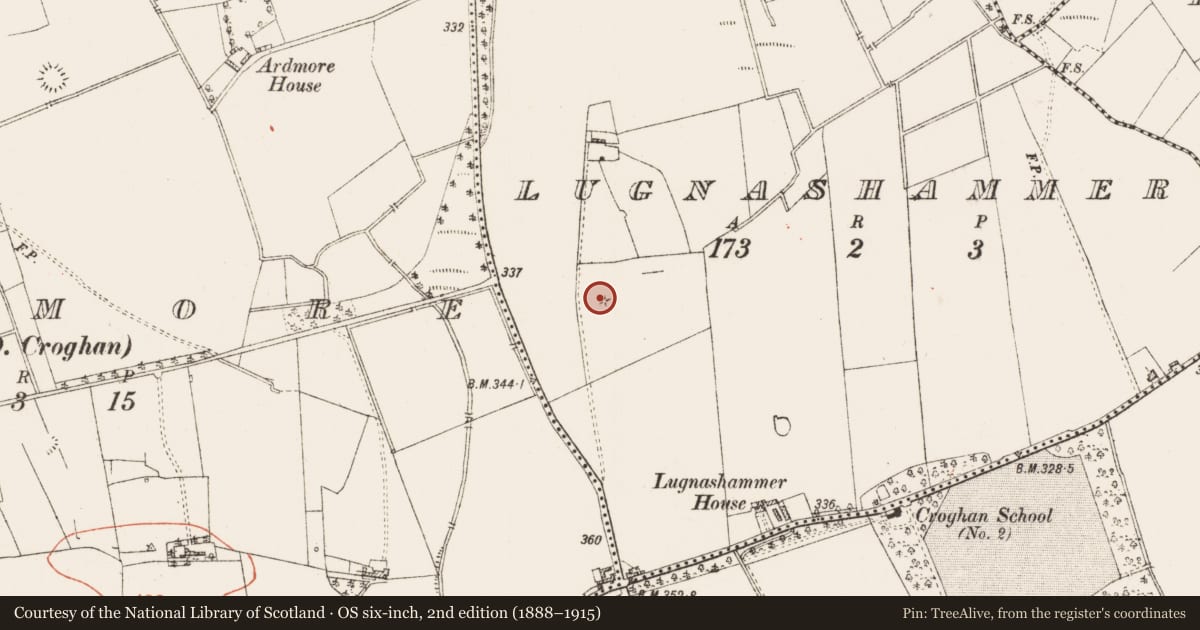 Ordnance Survey six-inch map, 2nd edition (1888–1915) covering the location of Barrow - embanked barrow, Lugnashammer, County Roscommon, with a pin at the register's coordinates
