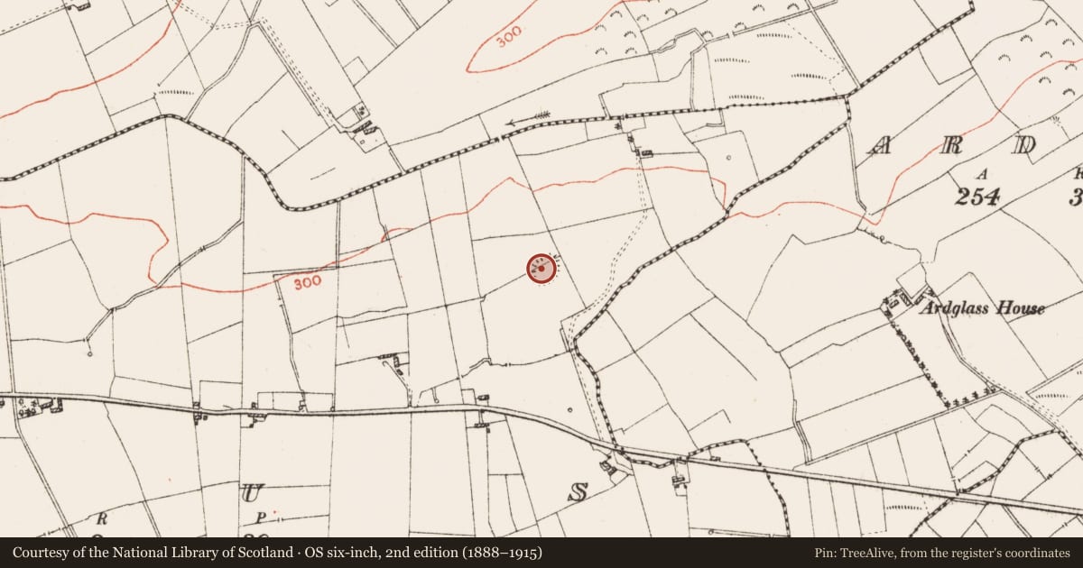 Ordnance Survey six-inch map, 2nd edition (1888–1915) covering the location of Ringfort - rath, Faus, County Roscommon, with a pin at the register's coordinates