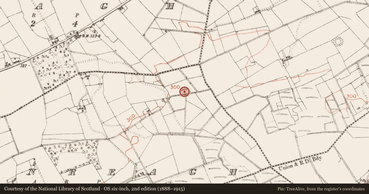 Ordnance Survey six-inch map, 2nd edition (1888–1915) covering the location of Ringfort - rath, Bunreagh, County Roscommon, with a pin at the register's coordinates