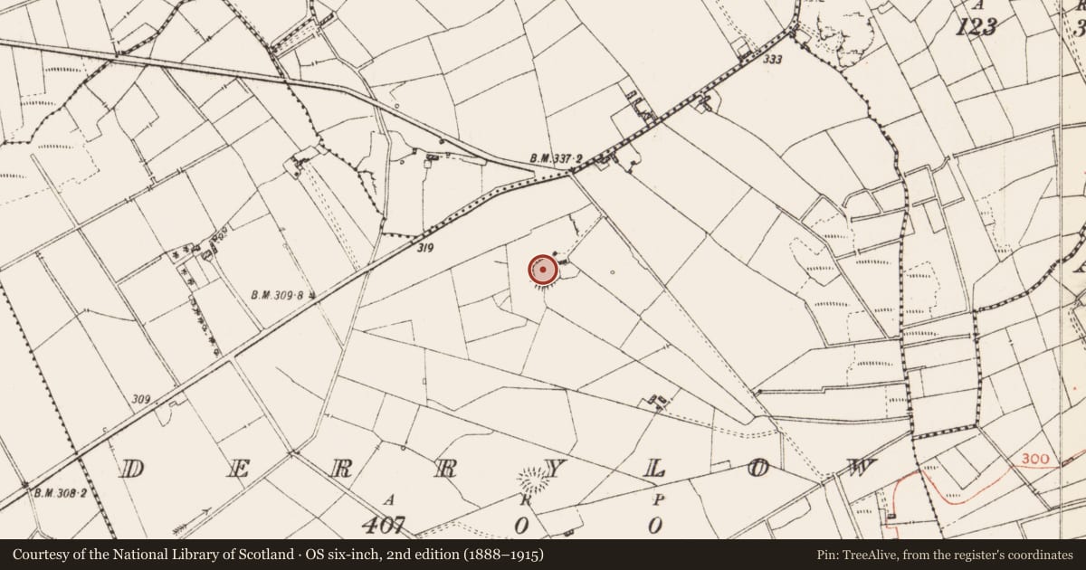 Ordnance Survey six-inch map, 2nd edition (1888–1915) covering the location of Ringfort - cashel, Derrylow, County Roscommon, with a pin at the register's coordinates