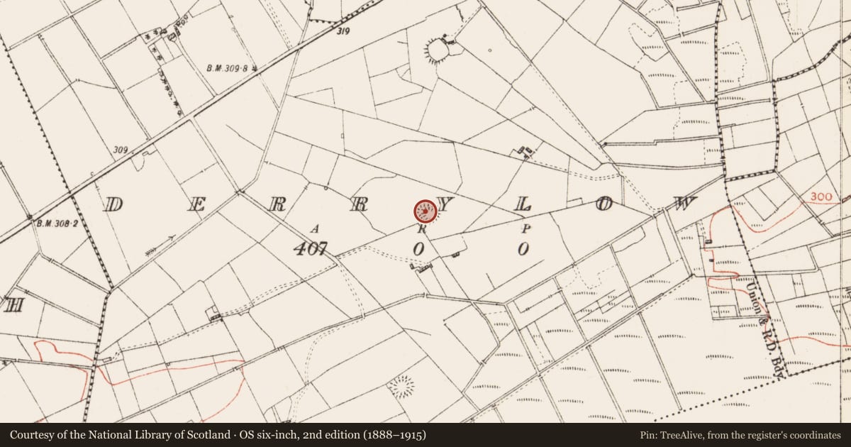 Ordnance Survey six-inch map, 2nd edition (1888–1915) covering the location of Ringfort - rath, Derrylow, County Roscommon, with a pin at the register's coordinates