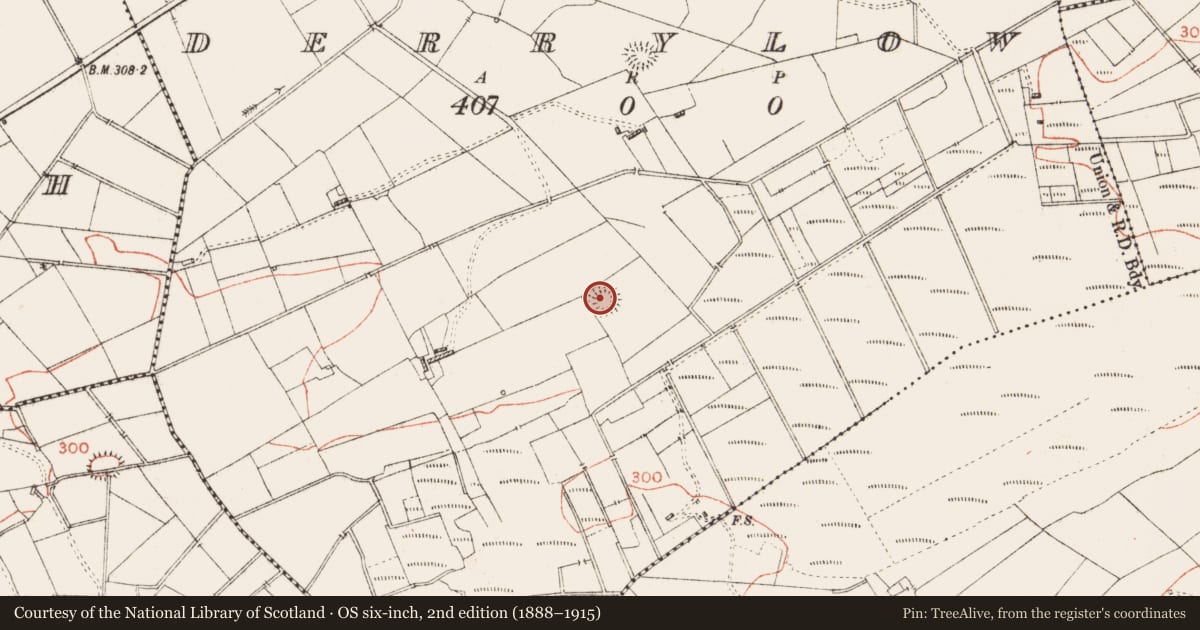 Ordnance Survey six-inch map, 2nd edition (1888–1915) covering the location of Ringfort - rath, Derrylow, County Roscommon, with a pin at the register's coordinates