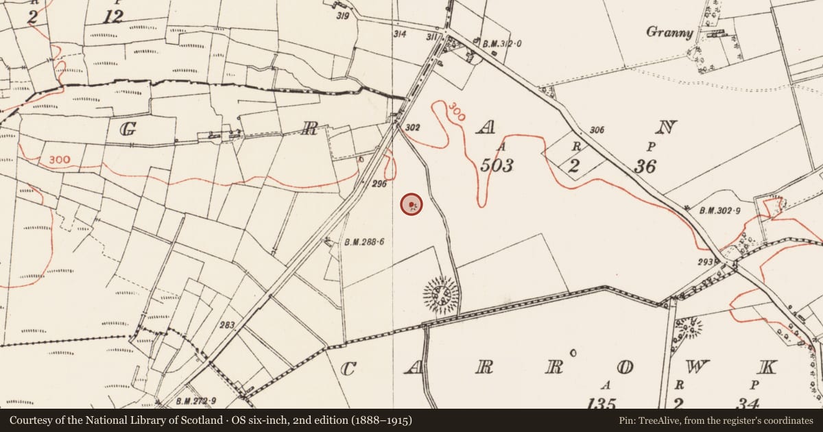 Ordnance Survey six-inch map, 2nd edition (1888–1915) covering the location of Mound, Granny, County Roscommon, with a pin at the register's coordinates
