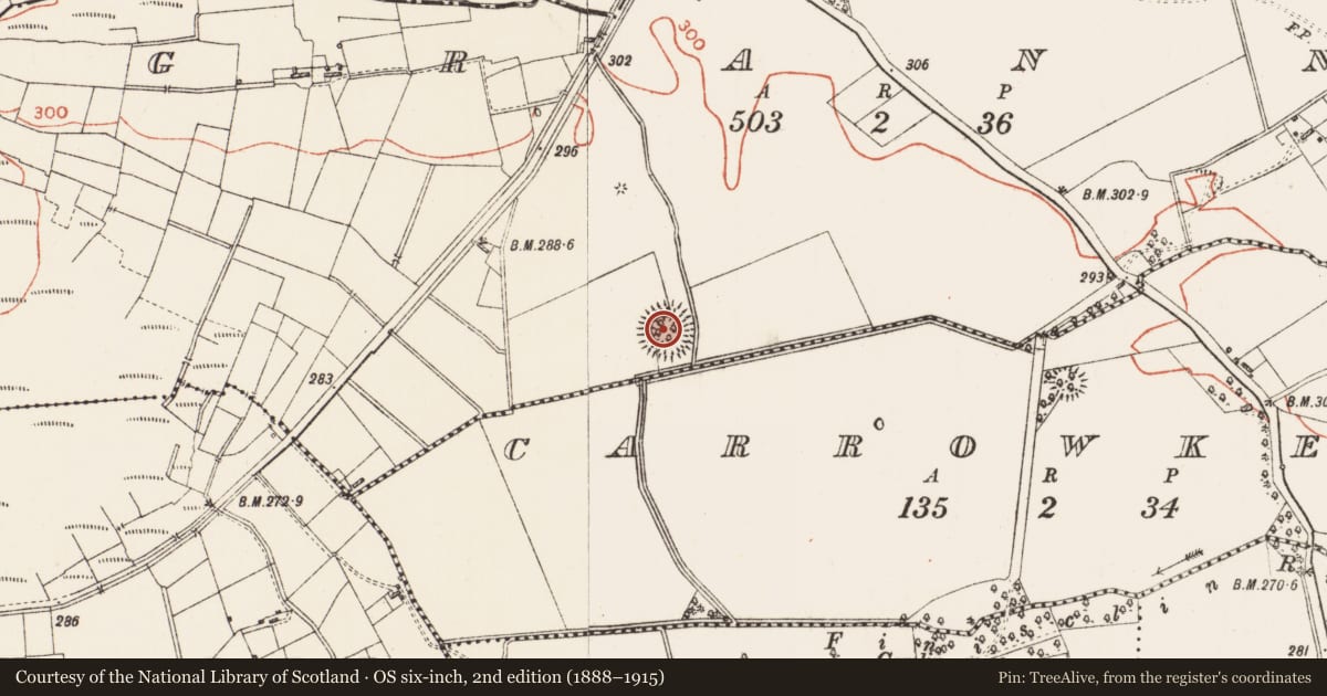 Ordnance Survey six-inch map, 2nd edition (1888–1915) covering the location of Ringfort - rath, Granny, County Roscommon, with a pin at the register's coordinates