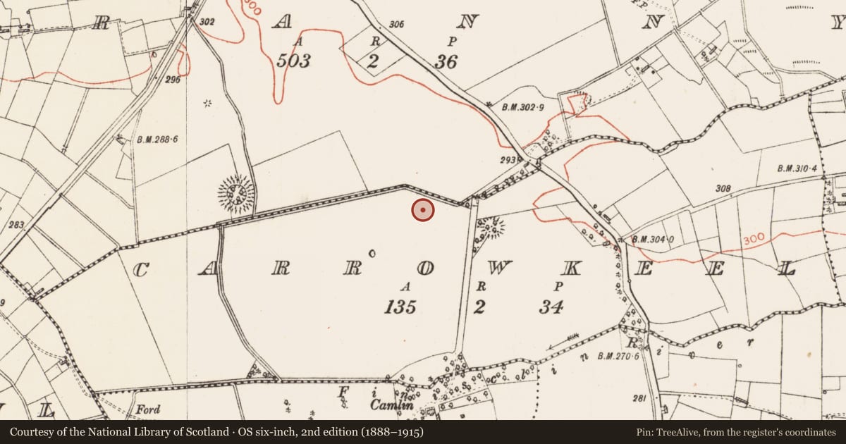 Ordnance Survey six-inch map, 2nd edition (1888–1915) covering the location of Barrow - ditch barrow, Carrowkeel, County Roscommon, with a pin at the register's coordinates