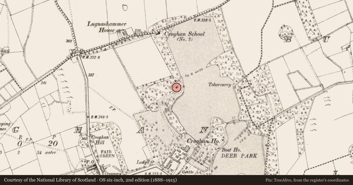 Ordnance Survey six-inch map, 2nd edition (1888–1915) covering the location of Barrow - ring-barrow, Croghan, County Roscommon, with a pin at the register's coordinates