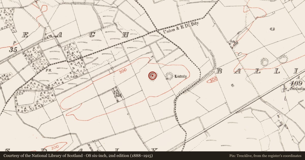 Ordnance Survey six-inch map, 2nd edition (1888–1915) covering the location of Ringfort - rath, Lisdaly, County Roscommon, with a pin at the register's coordinates